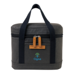 Lunch Cooler